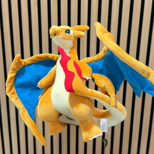 Charizard Y