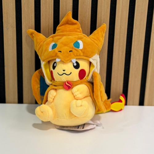 Charizard Poncho